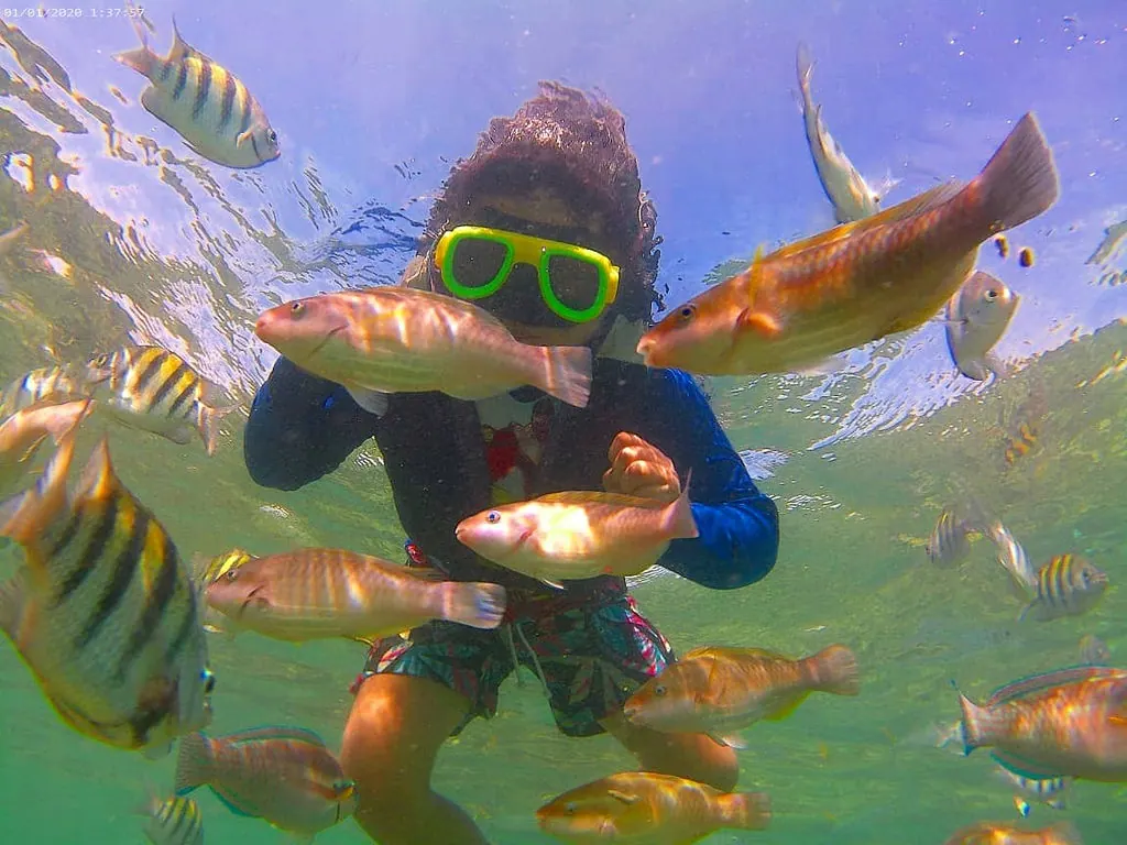 Family Eco-Route + Plancton en Cartagena