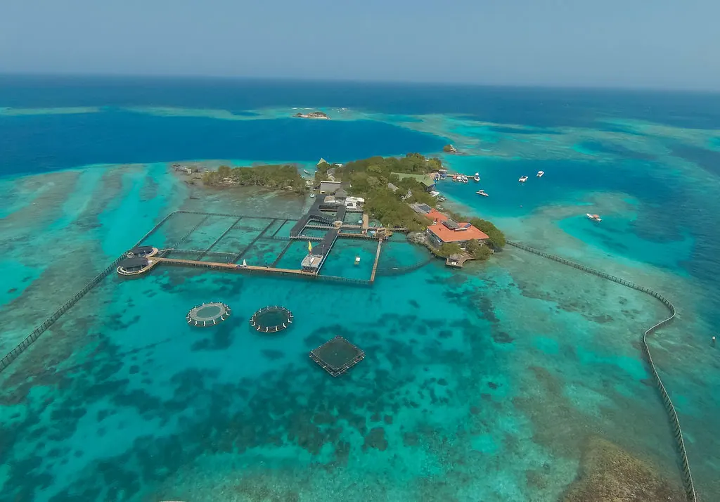 Islas del Rosario + Oceanario: fotografía real 4
