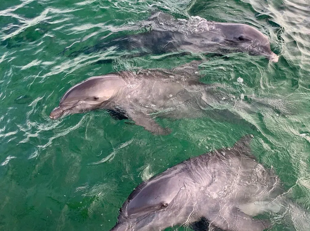 Islas del Rosario + Oceanario: fotografía real 5