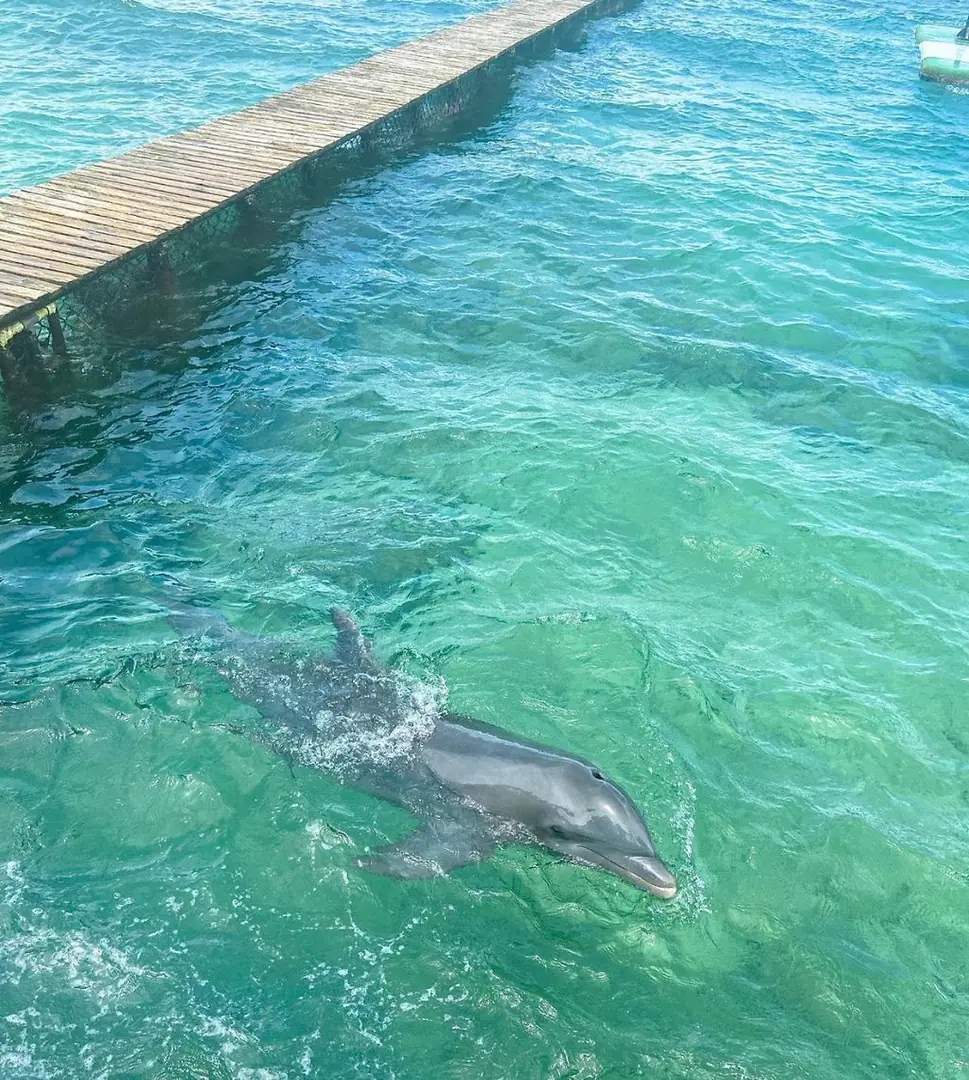Islas del Rosario + Oceanario: fotografía real 8