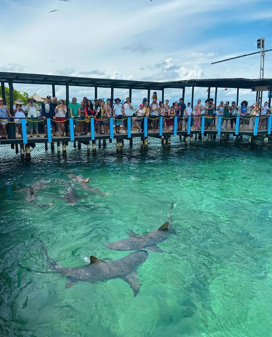 Islas del Rosario + Oceanario: fotografía real 9