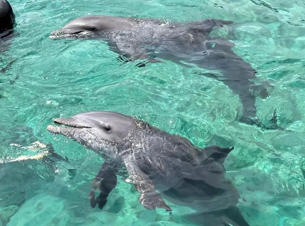 Islas del Rosario + Oceanario: fotografía real 10