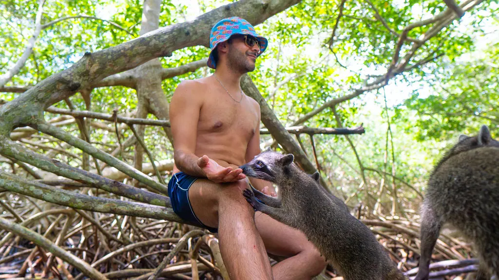 Tour Mágico por Tierra: Mambo, Snorkel y Manglar: fotografía real 3