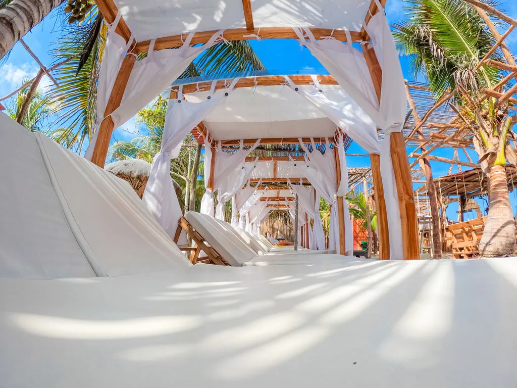 Tour Mágico por Tierra: Mambo, Snorkel y Manglar: fotografía real 6
