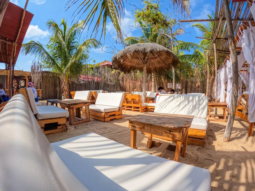 Tour Mágico por Tierra: Mambo, Snorkel y Manglar: fotografía real 7