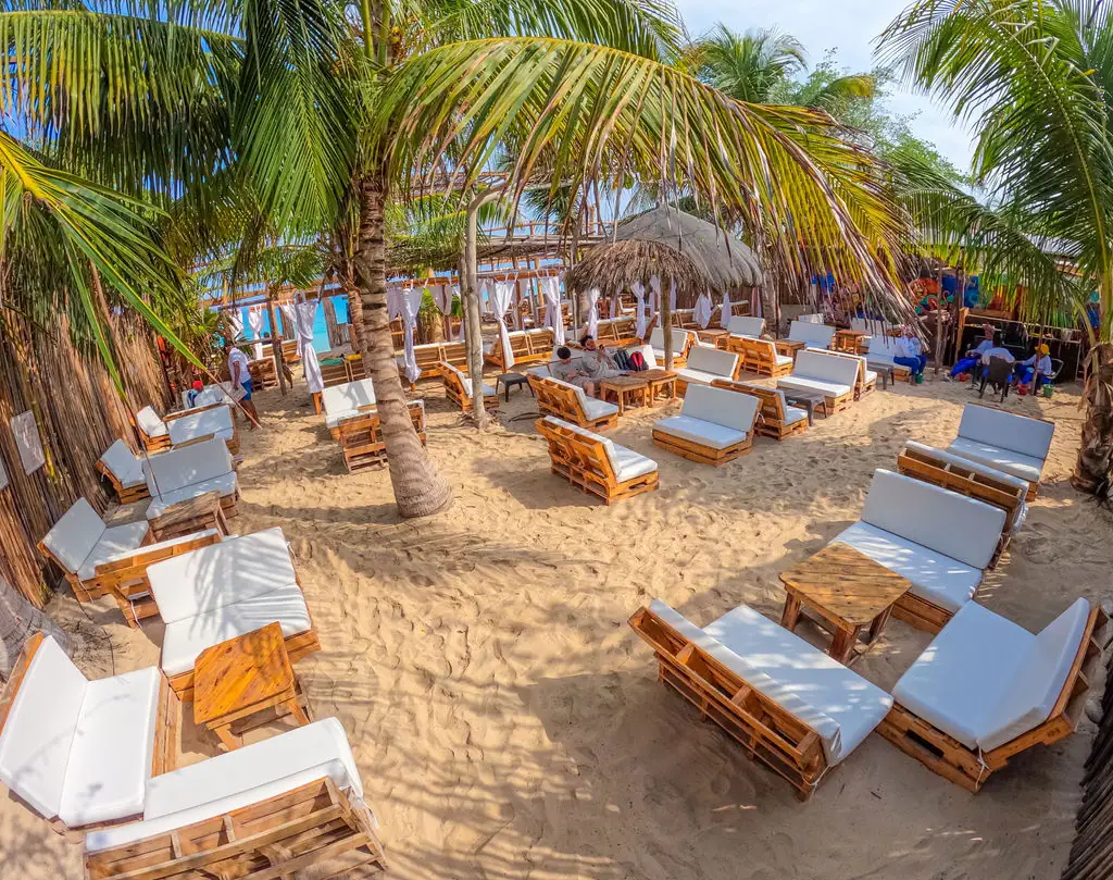 Tour Mágico por Tierra: Mambo, Snorkel y Manglar: fotografía real 8