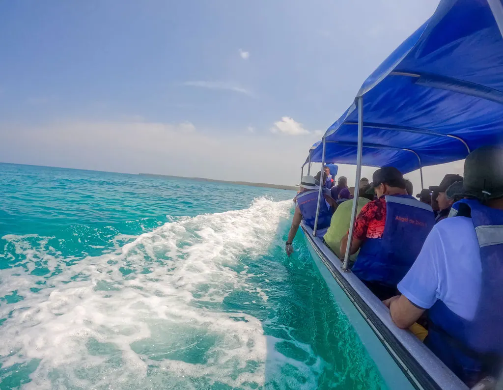 Tour Mágico por Tierra: Mambo, Snorkel y Manglar: fotografía real 9