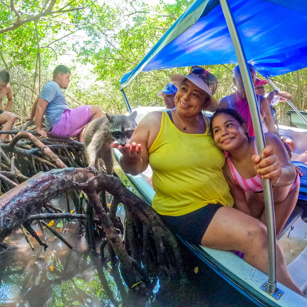 Tour Mágico por Tierra: Mambo, Snorkel y Manglar: fotografía real 11