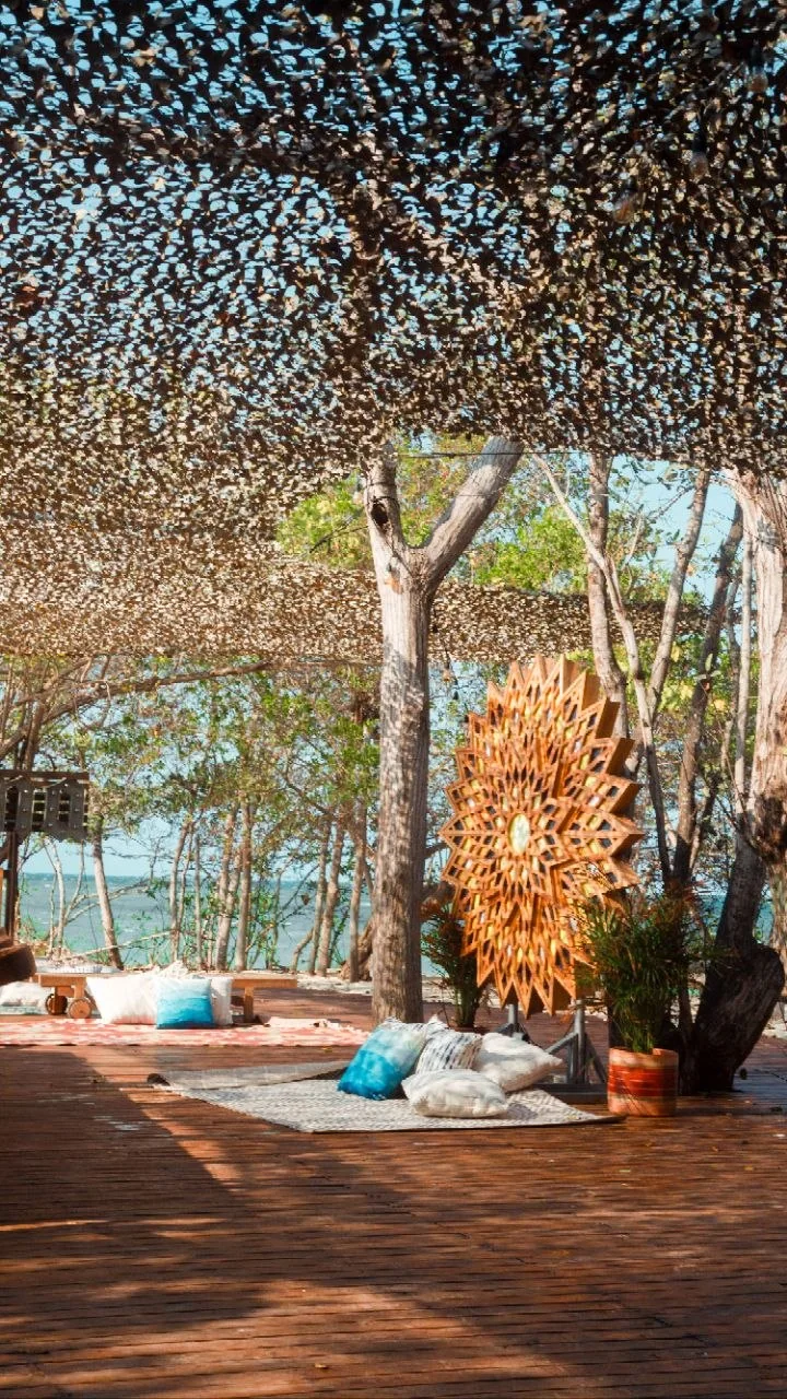 Zona lounge bajo la sombra natural de la isla