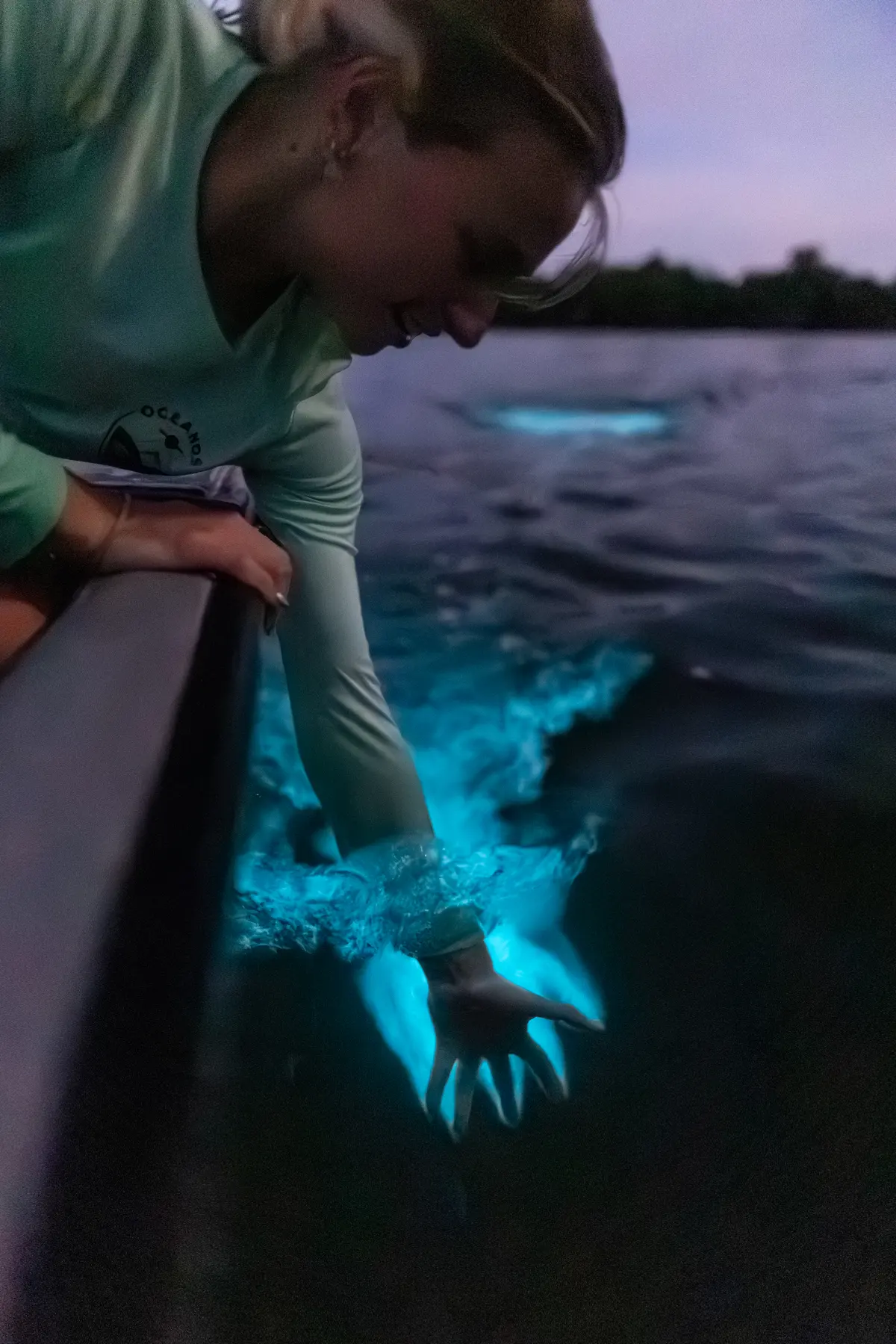Plancton bioluminiscente — fotografía de referencia
